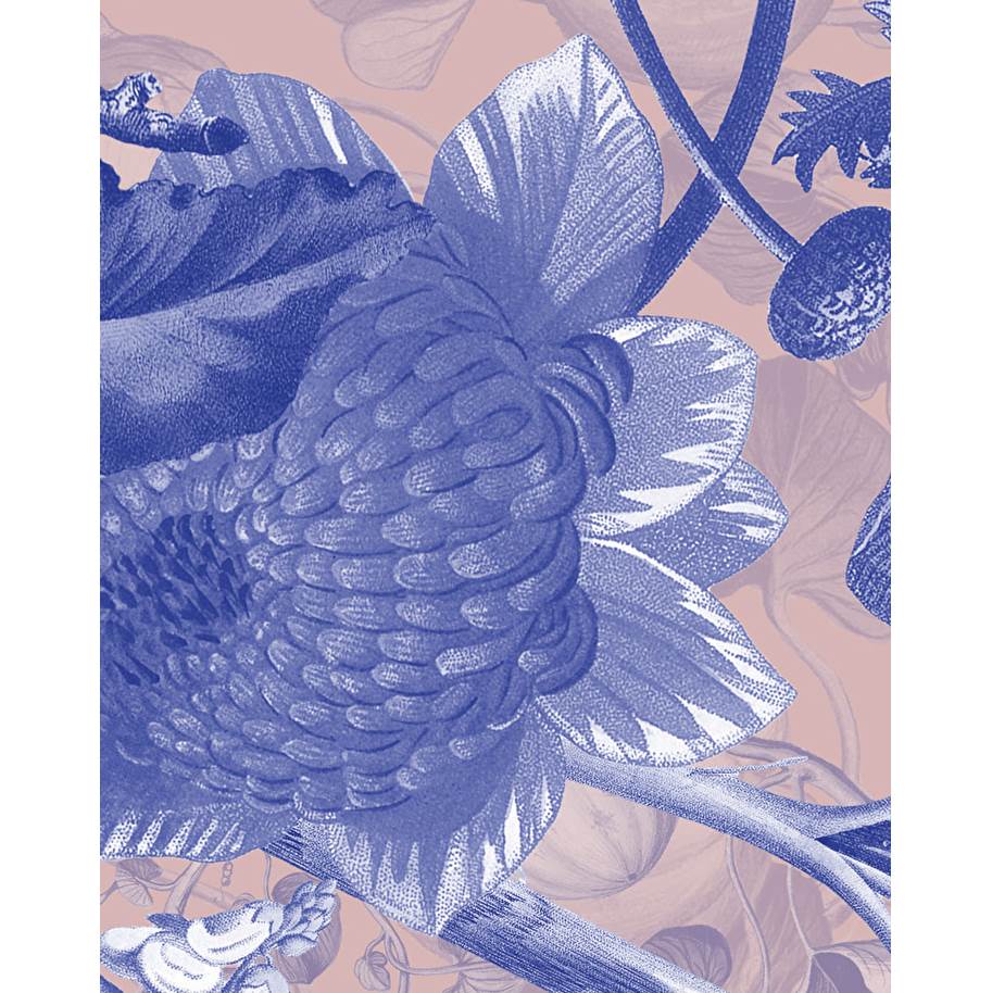 Devon & Devon Botanica Wallpaper